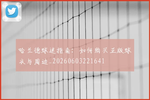 哈兰德球迷指南:如何购买正版球衣与周边_20260603221641